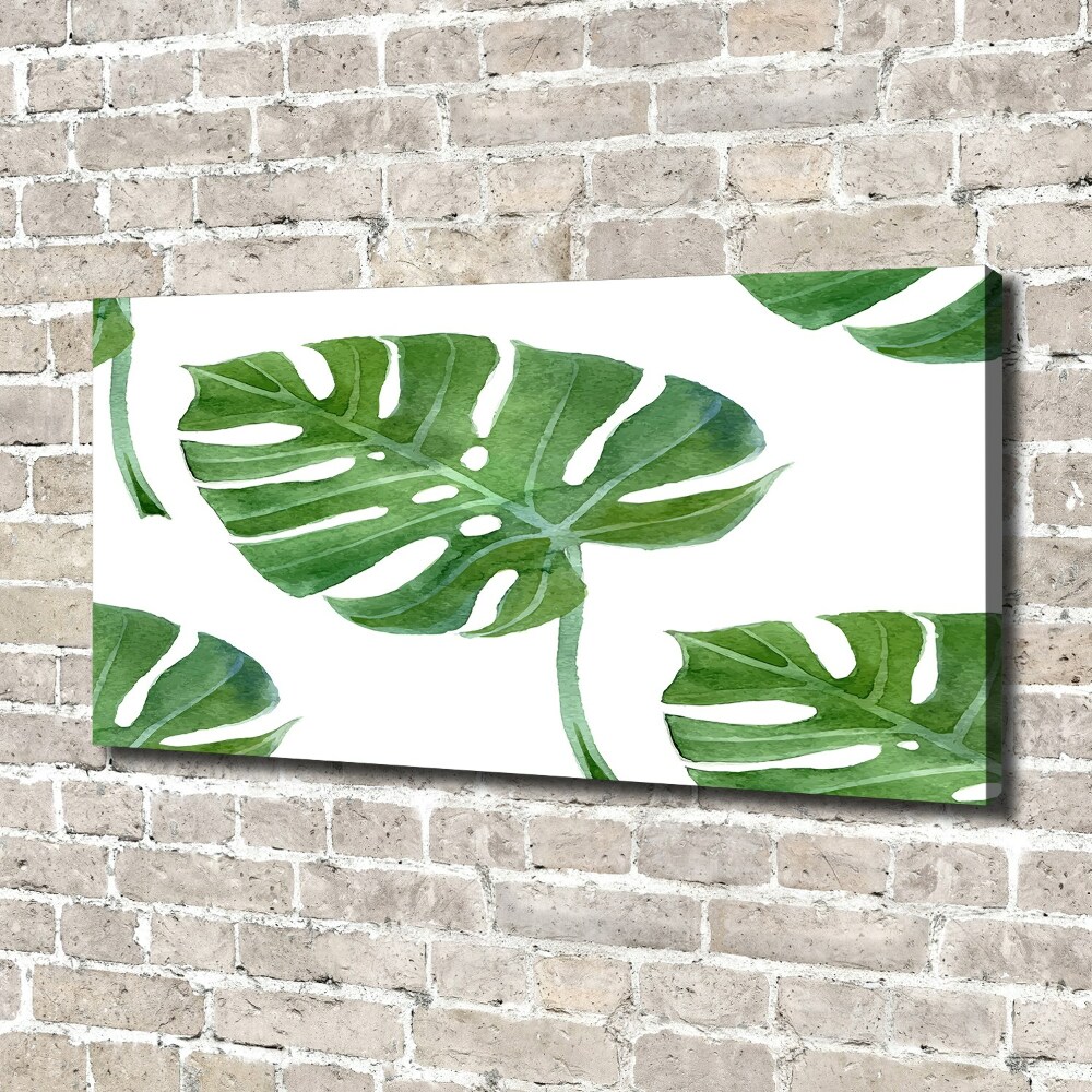 Imprimare tablou canvas Monstera