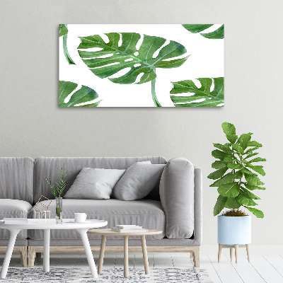 Imprimare tablou canvas Monstera