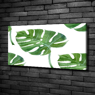 Imprimare tablou canvas Monstera