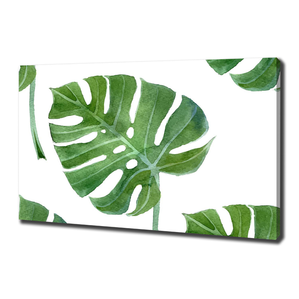 Imprimare tablou canvas Monstera