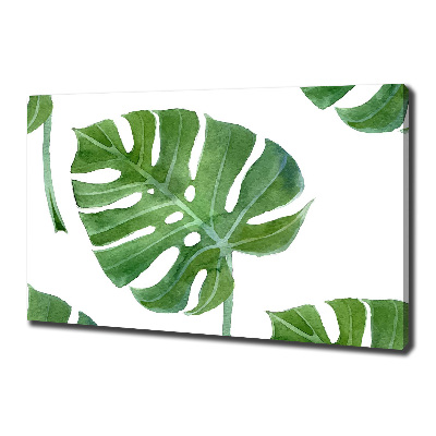 Imprimare tablou canvas Monstera