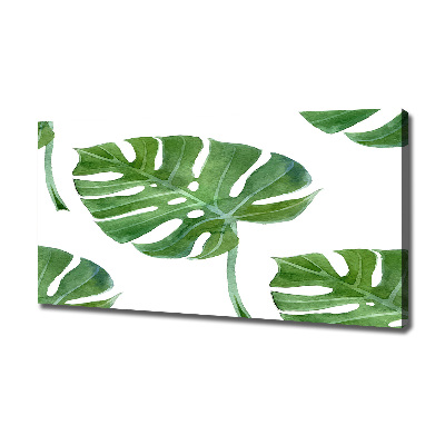 Imprimare tablou canvas Monstera