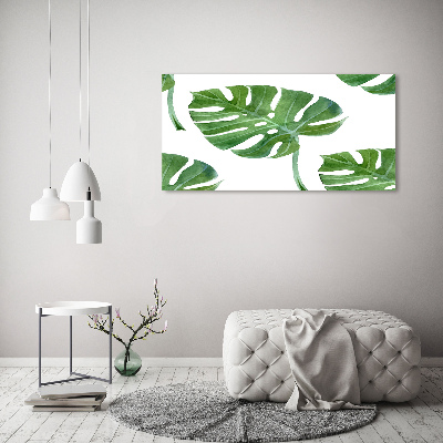 Imprimare tablou canvas Monstera