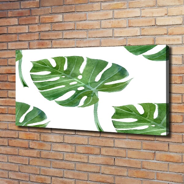 Imprimare tablou canvas Monstera