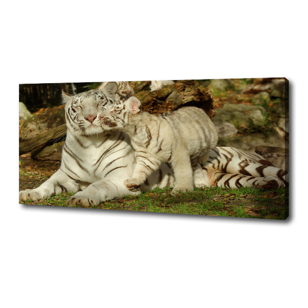 Tablou canvas Tigers