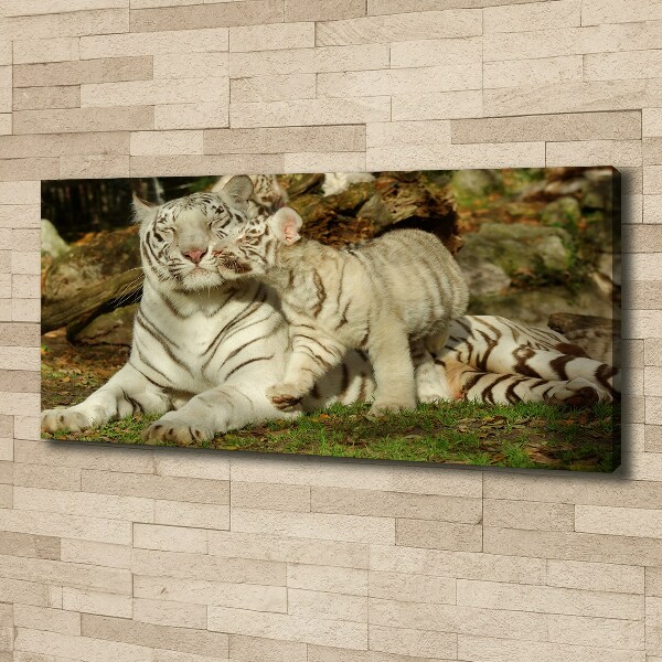 Tablou canvas Tigers