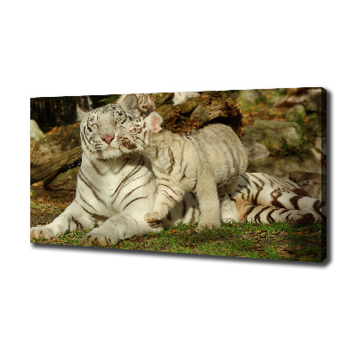 Tablou canvas Tigers