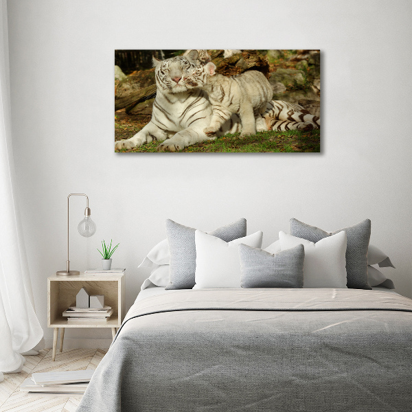 Tablou canvas Tigers