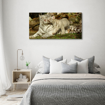 Tablou canvas Tigers