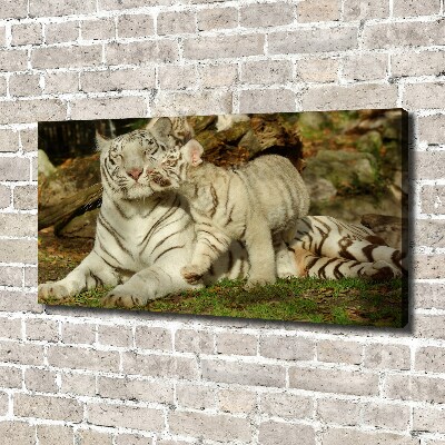 Tablou canvas Tigers