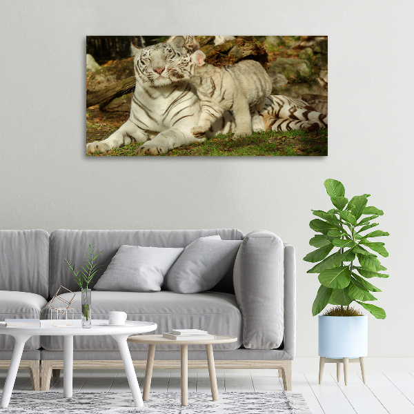 Tablou canvas Tigers