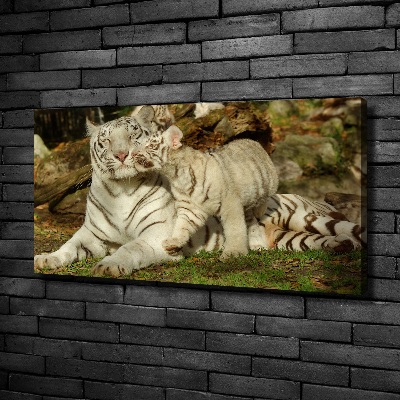 Tablou canvas Tigers