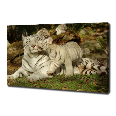 Tablou canvas Tigers