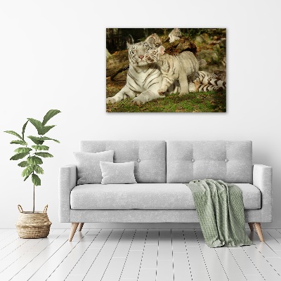 Tablou canvas Tigers