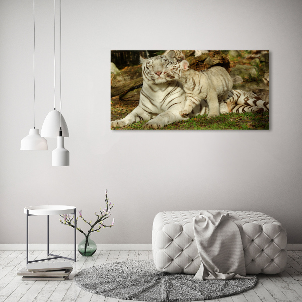 Tablou canvas Tigers