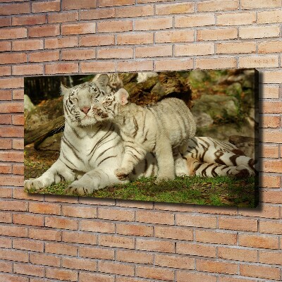 Tablou canvas Tigers