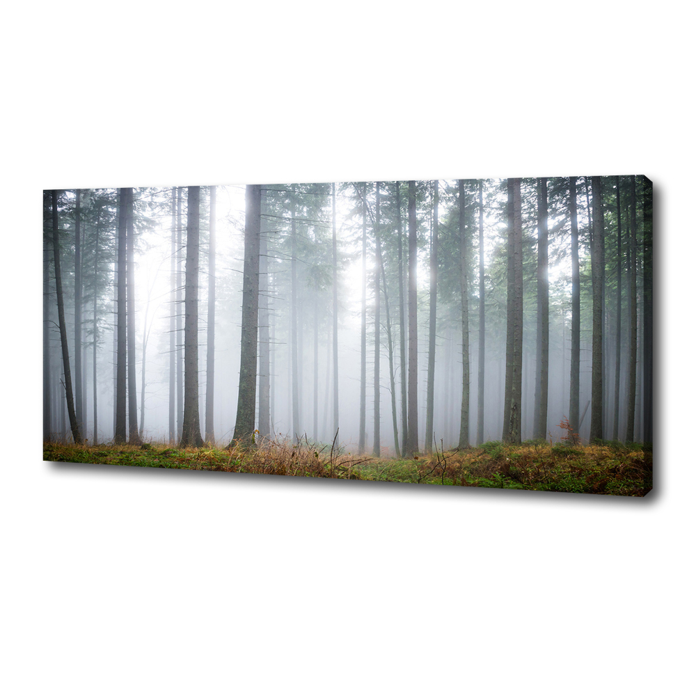 Pictură pe pânză Ceață în pădure