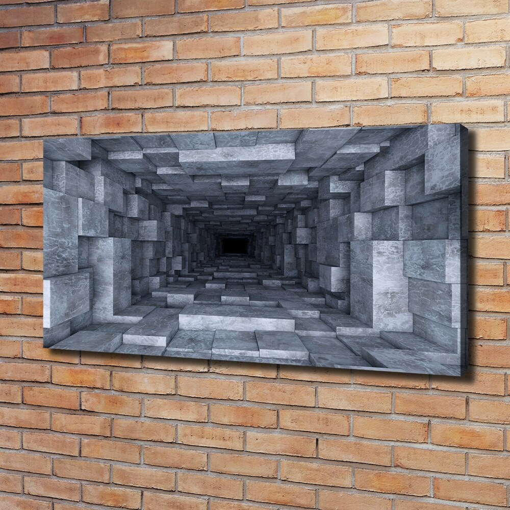 Print pe canvas Tunel