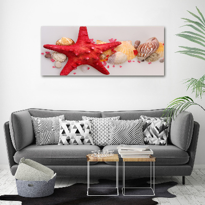 Tablou canvas Starfish și scoici