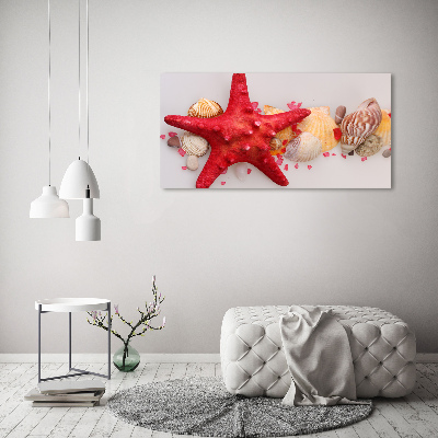 Tablou canvas Starfish și scoici