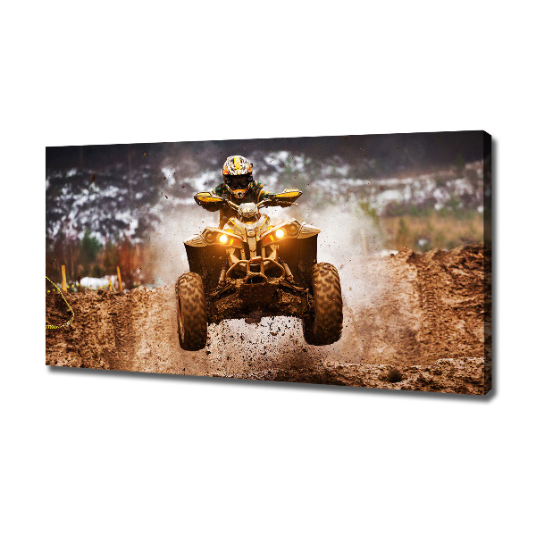 Tablou pe pânză Quad