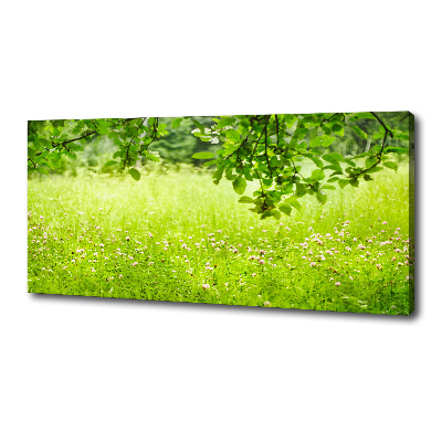 Tablou pe pânză canvas pajiște verde