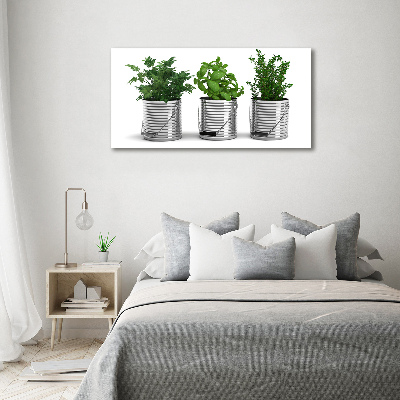 Tablou pe pânză canvas plante aromatice