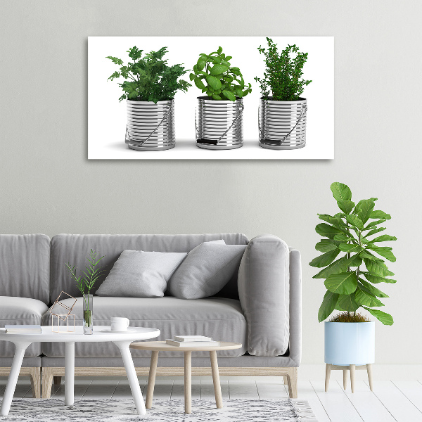 Tablou pe pânză canvas plante aromatice