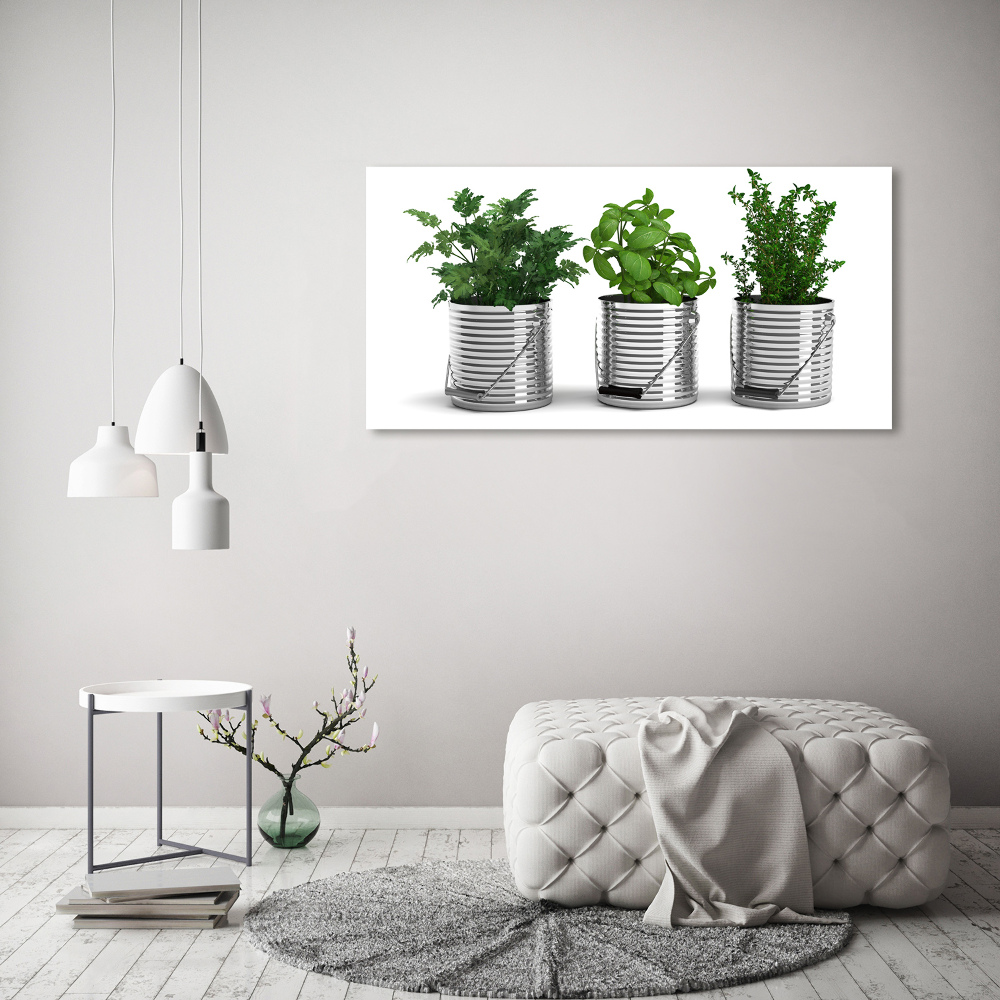 Tablou pe pânză canvas plante aromatice