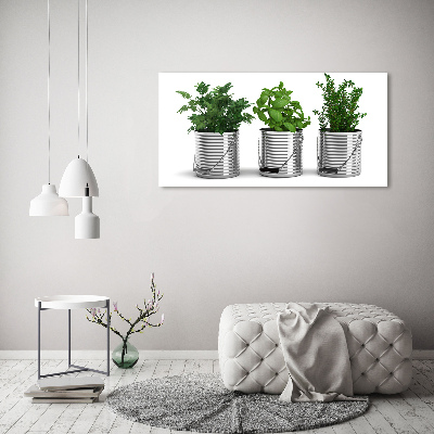 Tablou pe pânză canvas plante aromatice