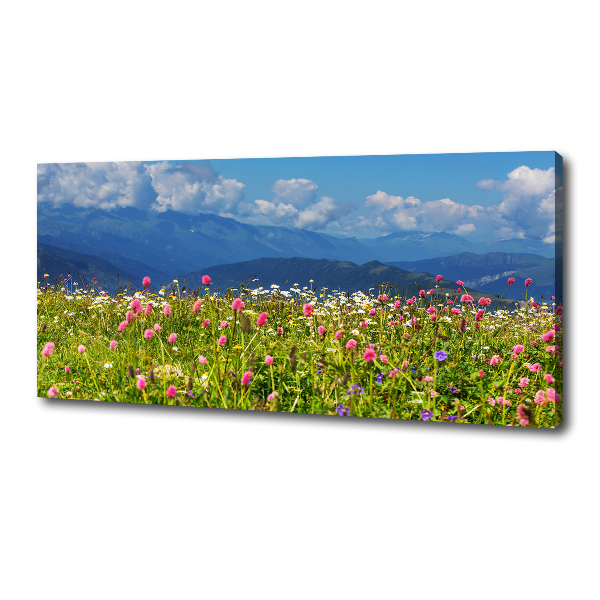 Print pe canvas Meadow în munți