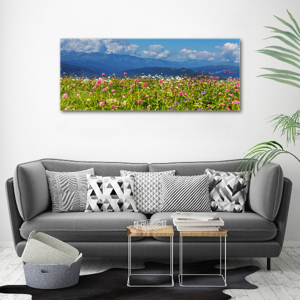 Print pe canvas Meadow în munți