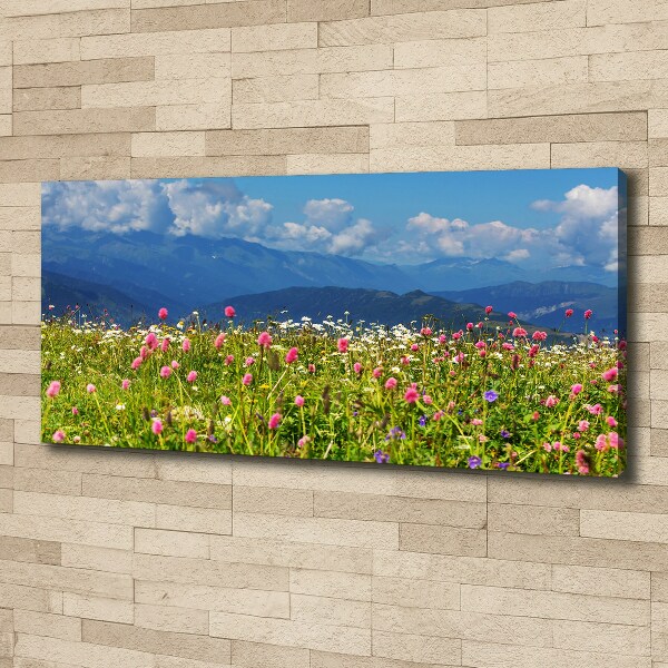 Print pe canvas Meadow în munți