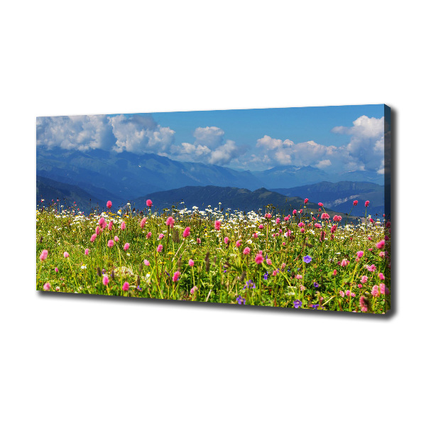 Print pe canvas Meadow în munți