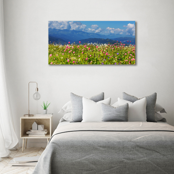 Print pe canvas Meadow în munți