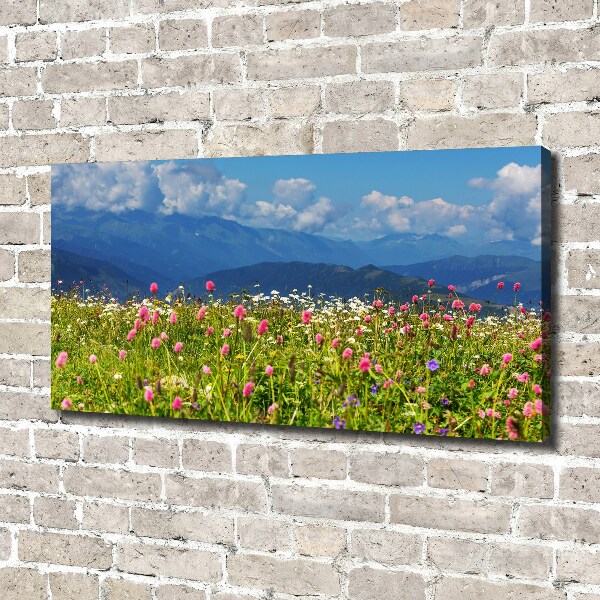 Print pe canvas Meadow în munți