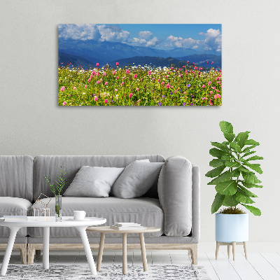 Print pe canvas Meadow în munți