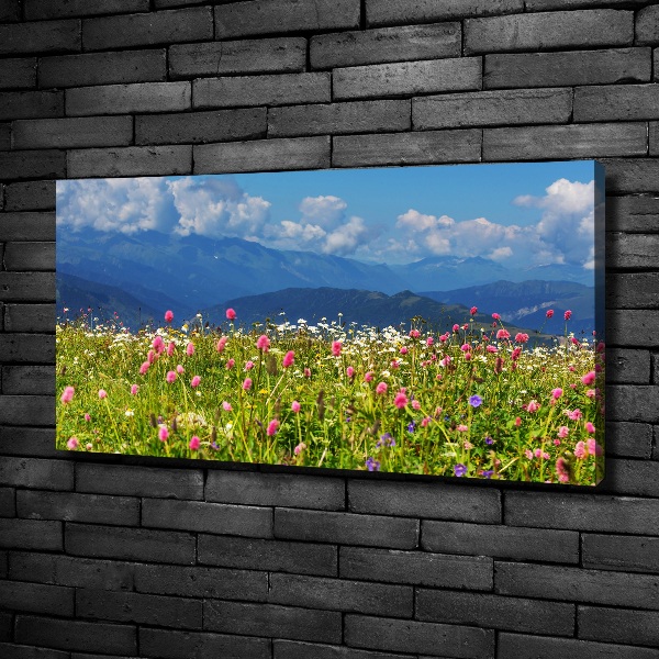 Print pe canvas Meadow în munți