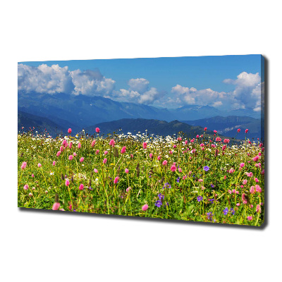 Print pe canvas Meadow în munți