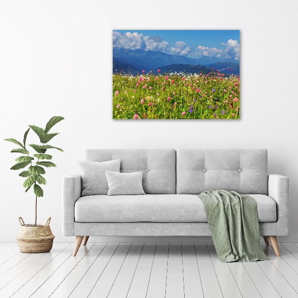 Print pe canvas Meadow în munți