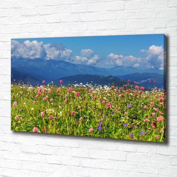 Print pe canvas Meadow în munți