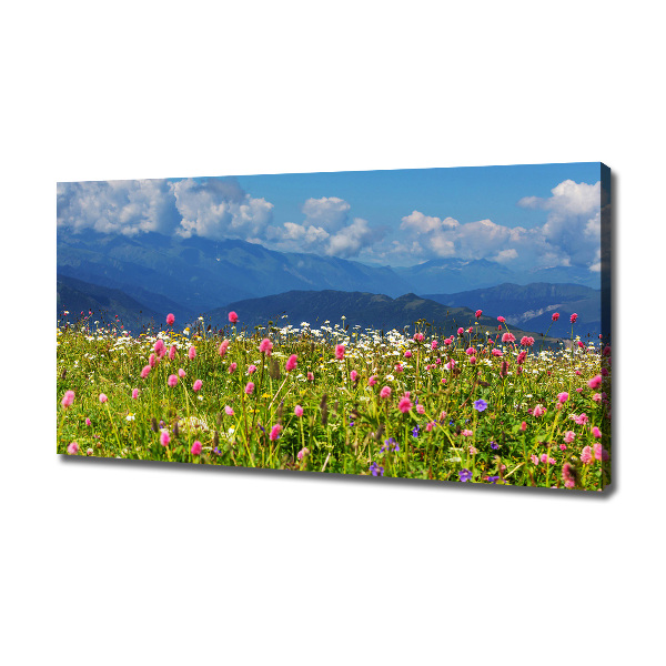 Print pe canvas Meadow în munți