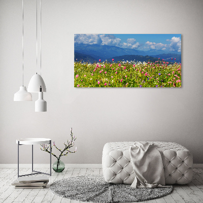 Print pe canvas Meadow în munți