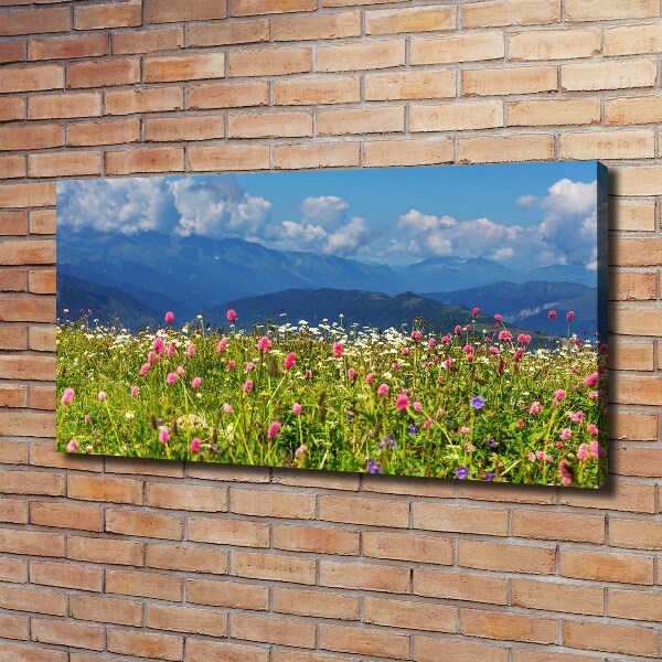 Print pe canvas Meadow în munți