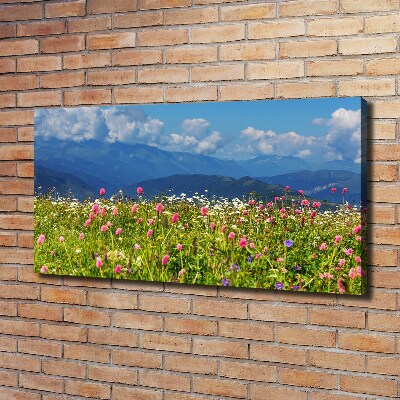 Print pe canvas Meadow în munți