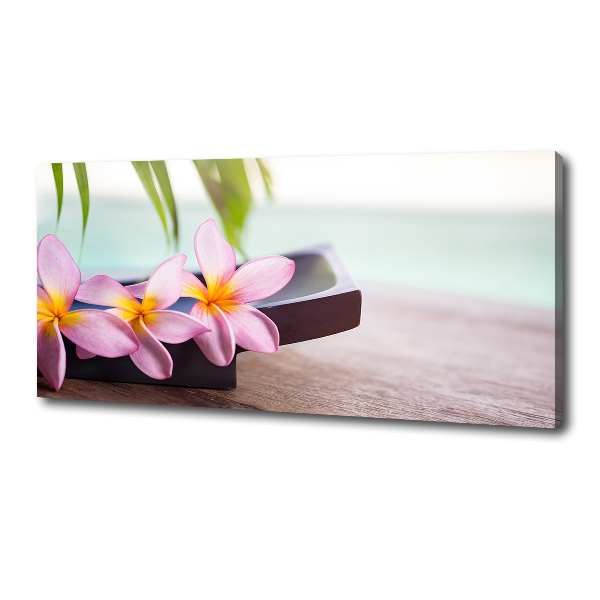 Tablou pe pânză canvas plumeria