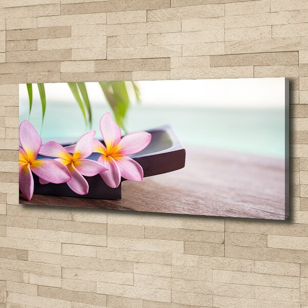 Tablou pe pânză canvas plumeria