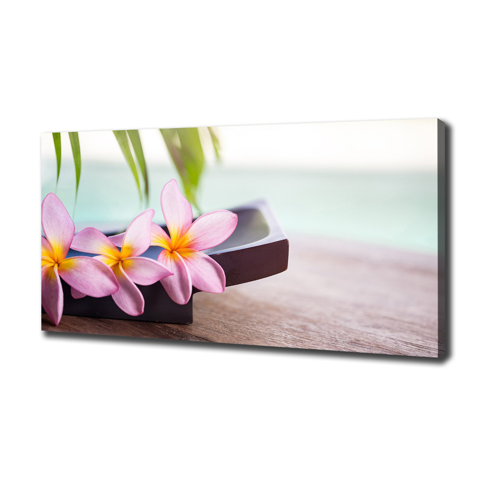 Tablou pe pânză canvas plumeria