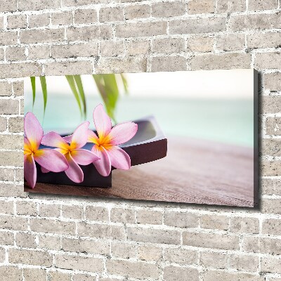 Tablou pe pânză canvas plumeria