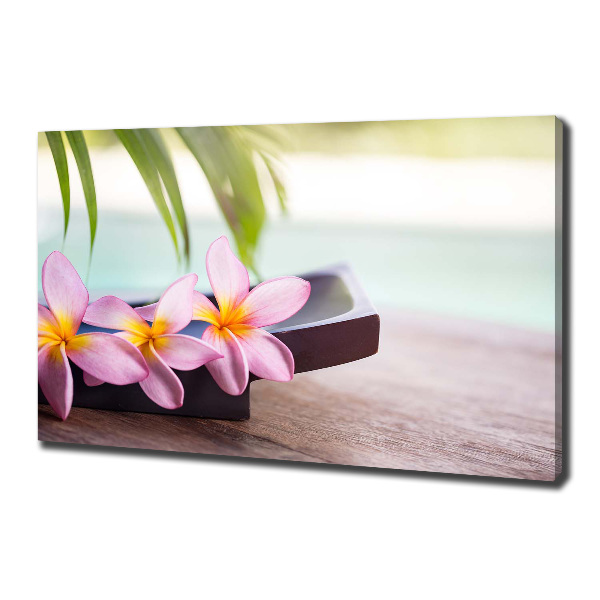 Tablou pe pânză canvas plumeria